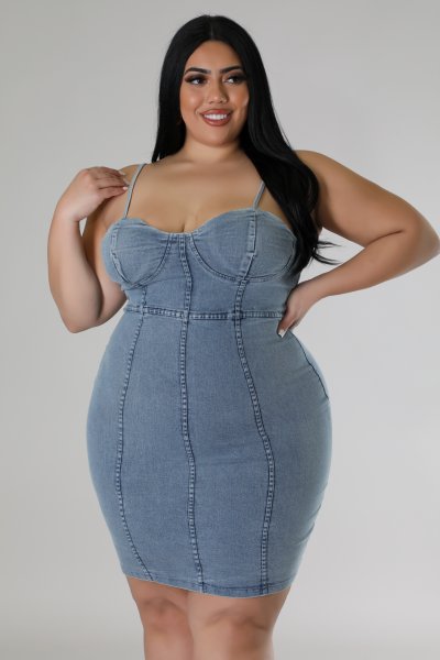 Midnight denim plus dress