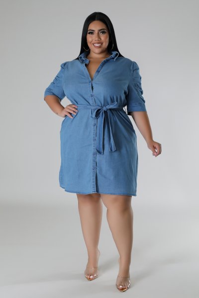 Button down shirt dress