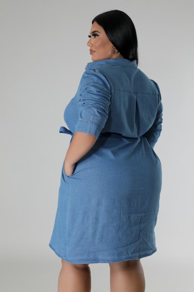 Button down shirt dress