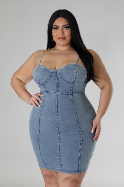 Midnight denim plus dress