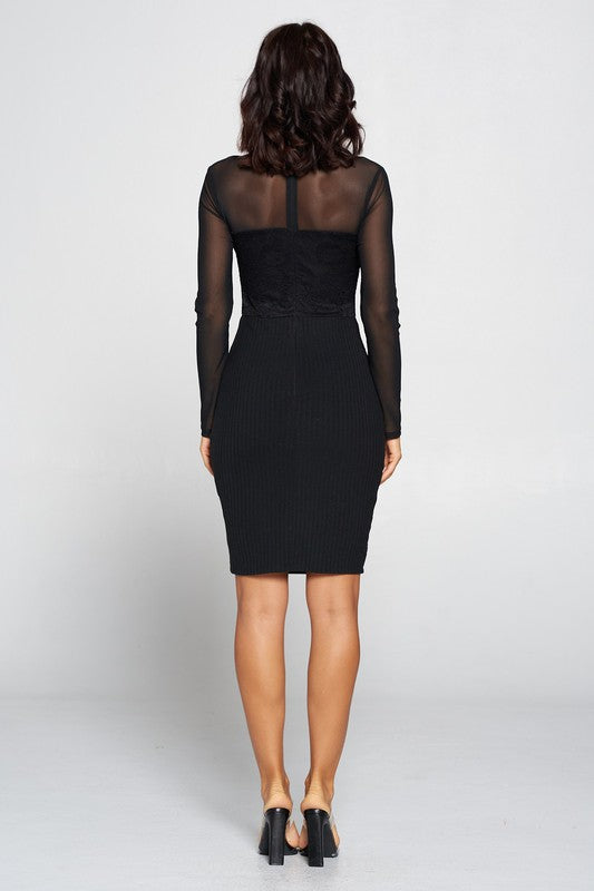 MESH LONG SLEEVE WITH LIB DRESS