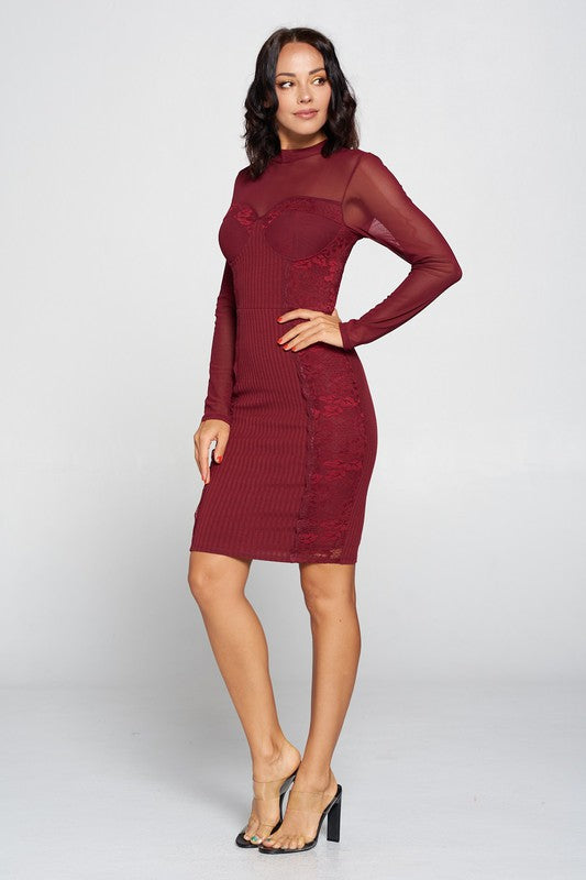 MESH LONG SLEEVE WITH LIB DRESS